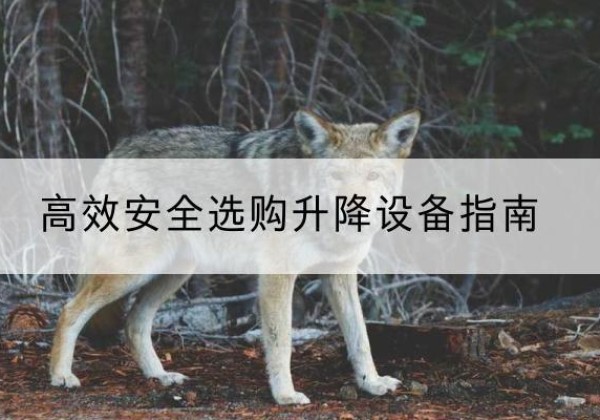九原升降货梯厂家推荐-*安全选购升降设备指南