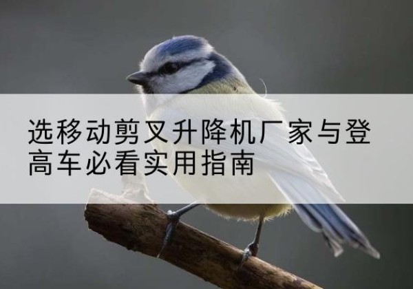 九原电动升降机厂家-选移动剪叉升降机厂家与登高车必看实用指南